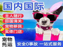 张家界空运代理国际宠物托运 【国
